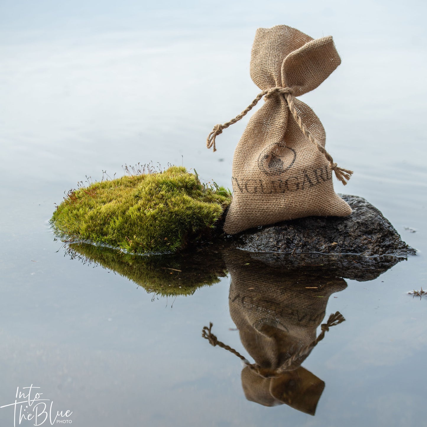 En nostalgisk,  naturfarget, striepose med knytebånd på en mosegrodd stein ved vann. Englegårds logo er stemplet på i front.Posen speiles i vannet